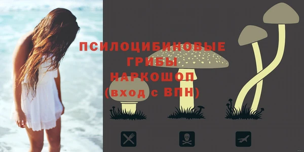 шишки Богданович