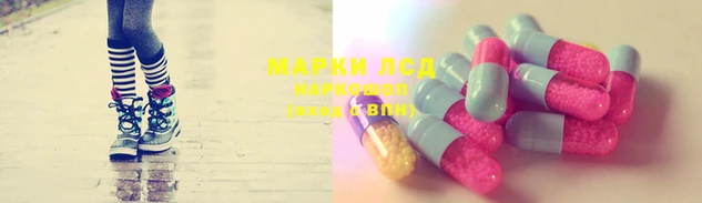 ПСИЛОЦИБИНОВЫЕ ГРИБЫ Богородск