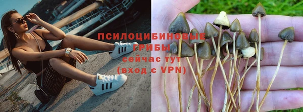 ПСИЛОЦИБИНОВЫЕ ГРИБЫ Богородск