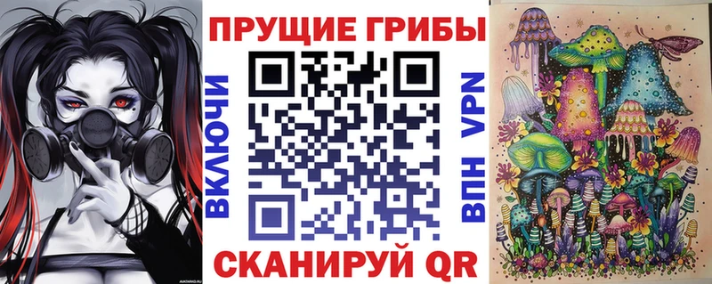 Купить закладки  Нерюнгри  Псилоцибиновые грибы Magic Shrooms 